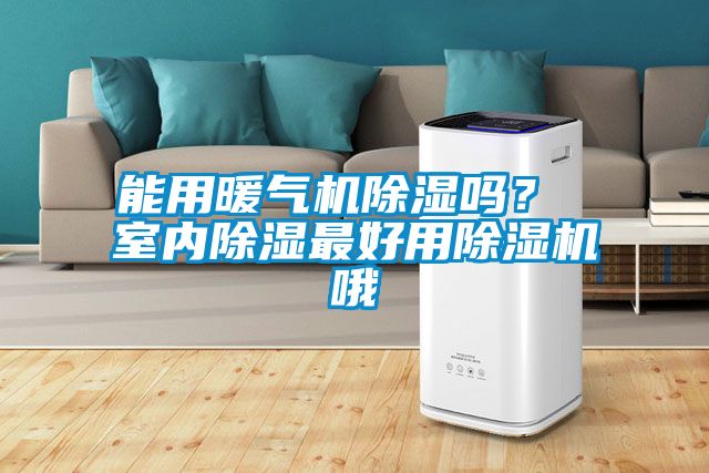 能用暖气机草莓视频黄色在线观看吗？ 室内草莓视频黄色在线观看最好用草莓视频黄色在线观看机哦