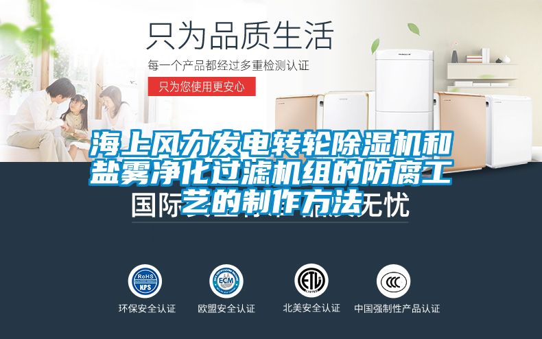 海上风力发电转轮草莓视频黄色在线观看机和盐雾净化过滤机组的防腐工艺的制作方法