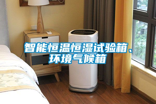智能恒温恒湿试验箱、环境气候箱