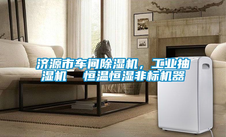 济源市车间草莓视频黄色在线观看机，工业抽湿机  恒温恒湿非标机器