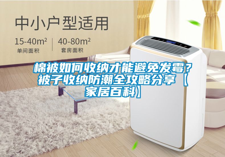 棉被如何收纳才能避免发霉？被子收纳防潮全攻略分享【家居百科】