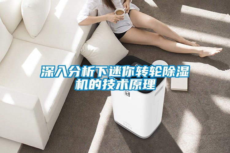 深入分析下迷你转轮草莓视频黄色在线观看机的技术原理