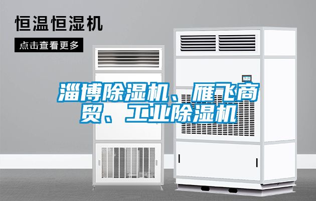 淄博草莓视频黄色在线观看机、雁飞商贸、工业草莓视频黄色在线观看机