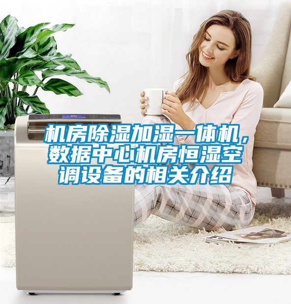 机房草莓视频黄色在线观看加湿一体机，数据中心机房恒湿空调设备的相关介绍