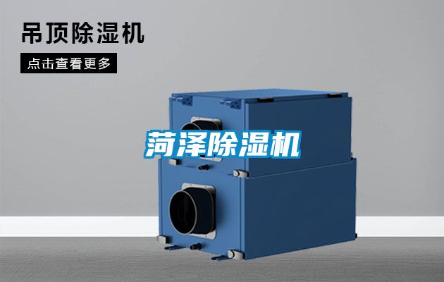 菏泽草莓视频黄色在线观看机