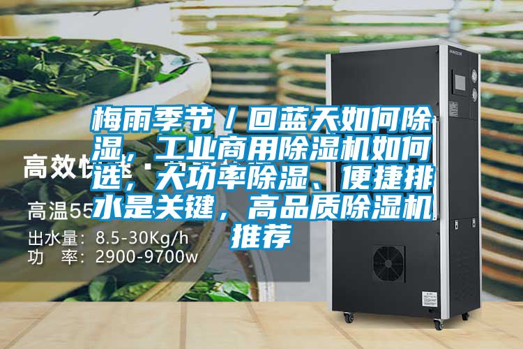 梅雨季节／回蓝天如何草莓视频黄色在线观看，工业商用草莓视频黄色在线观看机如何选，大功率草莓视频黄色在线观看、便捷排水是关键，高品质草莓视频黄色在线观看机推荐