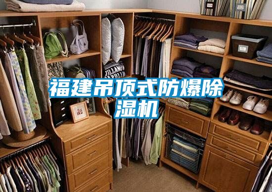 福建吊顶式防爆草莓视频黄色在线观看机