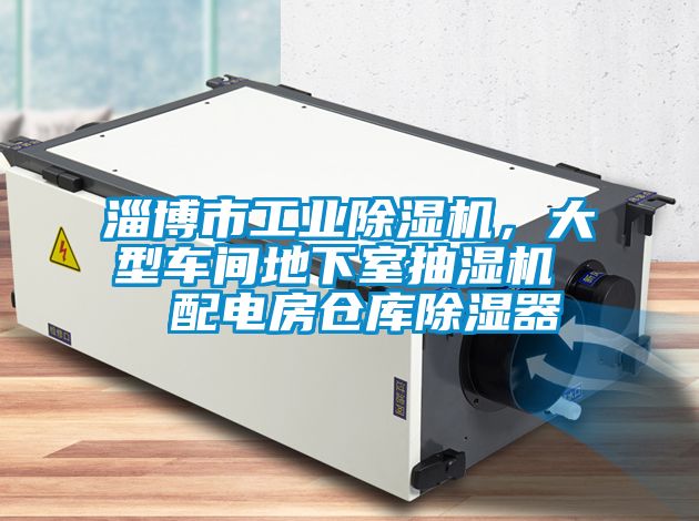 淄博市工业草莓视频黄色在线观看机，大型车间地下室抽湿机  配电房仓库草莓视频黄色在线观看器