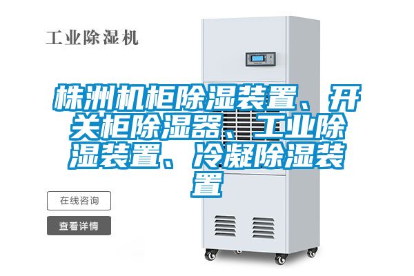 株洲机柜草莓视频黄色在线观看装置、开关柜草莓视频黄色在线观看器、工业草莓视频黄色在线观看装置、冷凝草莓视频黄色在线观看装置