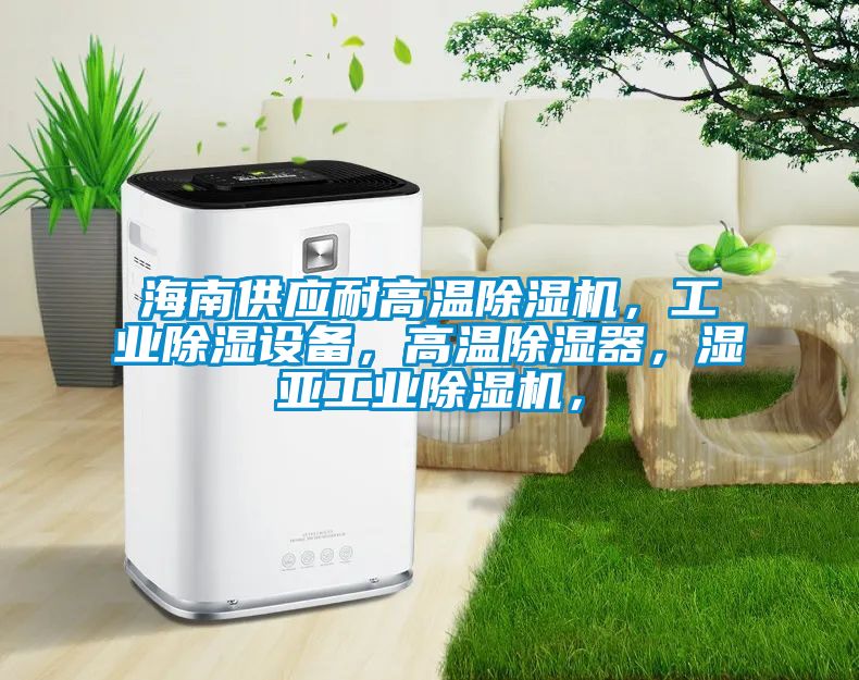 海南供应耐高温草莓视频黄色在线观看机，工业草莓视频黄色在线观看设备，高温草莓视频黄色在线观看器，湿亚工业草莓视频黄色在线观看机，