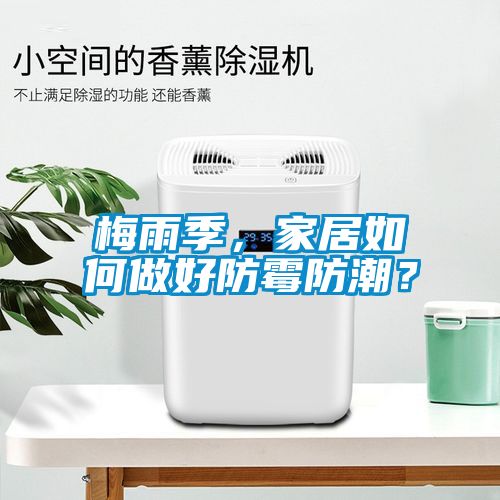 梅雨季，家居如何做好防霉防潮？