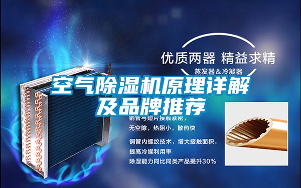 空气草莓视频黄色在线观看机原理详解及品牌推荐