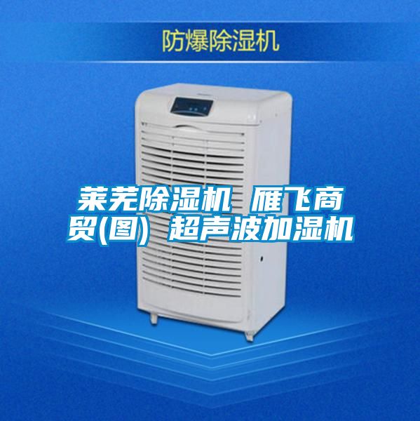 莱芜草莓视频黄色在线观看机 雁飞商贸(图) 超声波加湿机