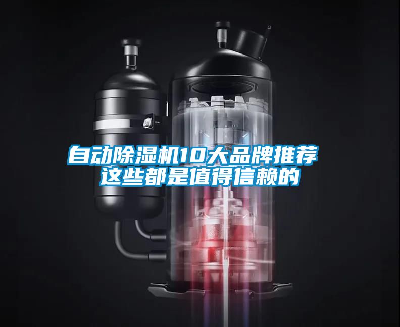 自动草莓视频黄色在线观看机10大品牌推荐 这些都是值得信赖的