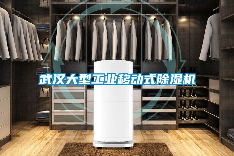 武汉大型工业移动式草莓视频黄色在线观看机