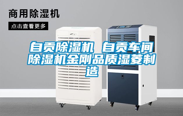 自贡草莓视频黄色在线观看机 自贡车间草莓视频黄色在线观看机金刚品质湿菱制造