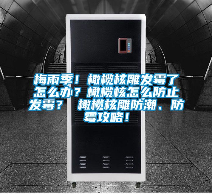 梅雨季！橄榄核雕发霉了怎么办？橄榄核怎么防止发霉？ 橄榄核雕防潮、防霉攻略！