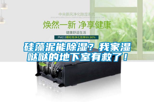 硅藻泥能草莓视频黄色在线观看？我家湿哒哒的地下室有救了！