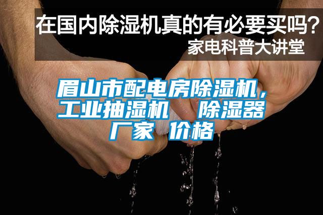 眉山市配电房草莓视频黄色在线观看机，工业抽湿机  草莓视频黄色在线观看器厂家 价格