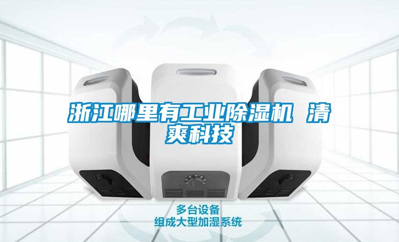 浙江哪里有工业草莓视频黄色在线观看机 清爽科技