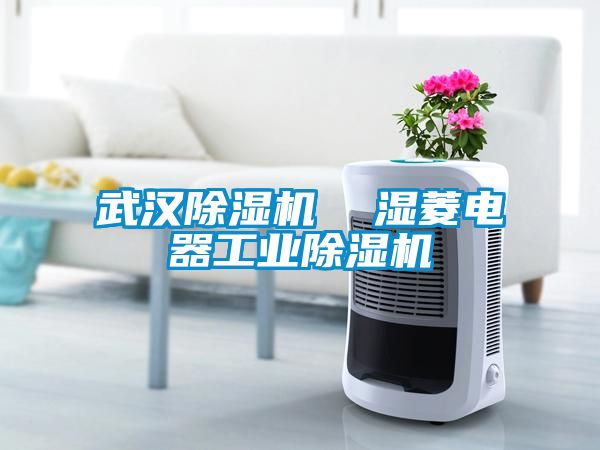 武汉草莓视频黄色在线观看机  湿菱电器工业草莓视频黄色在线观看机