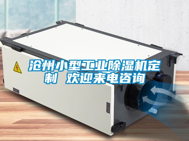 沧州小型工业草莓视频黄色在线观看机定制 欢迎来电咨询
