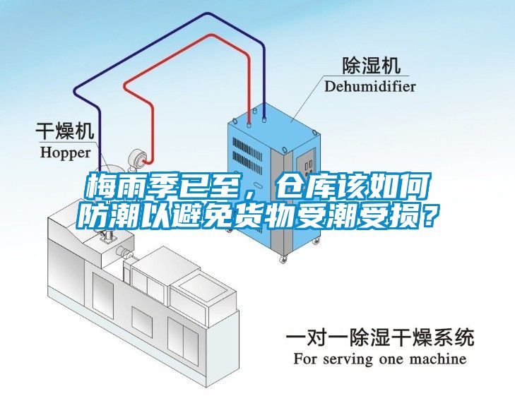 梅雨季已至，仓库该如何防潮以避免货物受潮受损？
