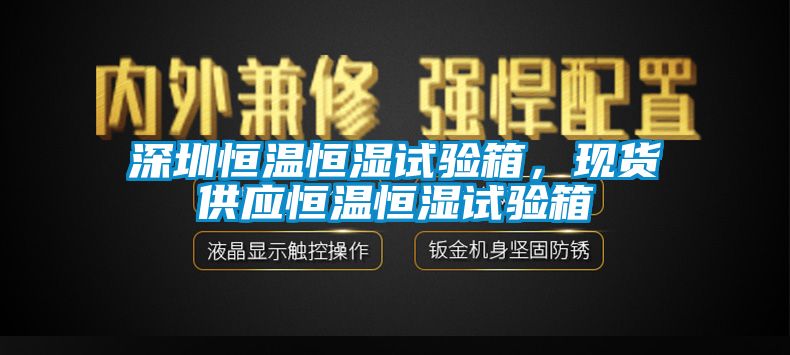 深圳恒温恒湿试验箱，现货供应恒温恒湿试验箱