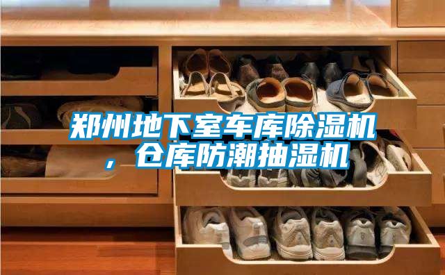 郑州地下室车库草莓视频黄色在线观看机，仓库防潮抽湿机