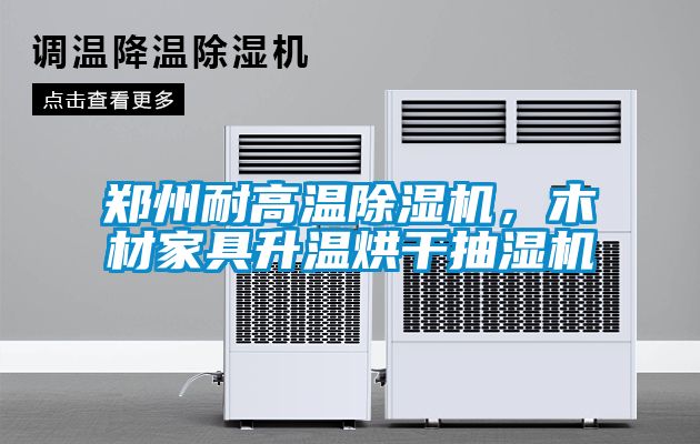 郑州耐高温草莓视频黄色在线观看机，木材家具升温烘干抽湿机