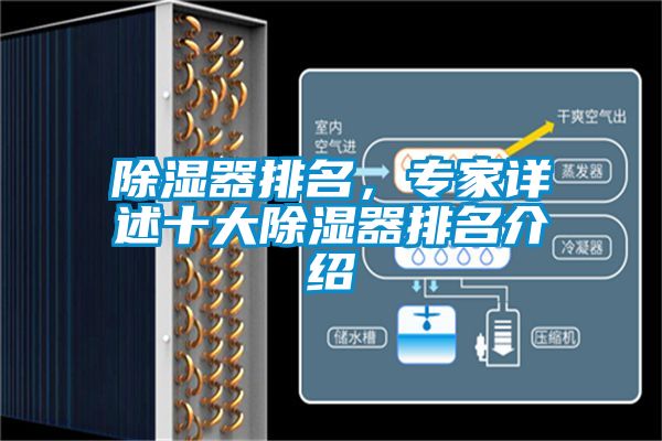 草莓视频黄色在线观看器排名，专家详述十大草莓视频黄色在线观看器排名介绍