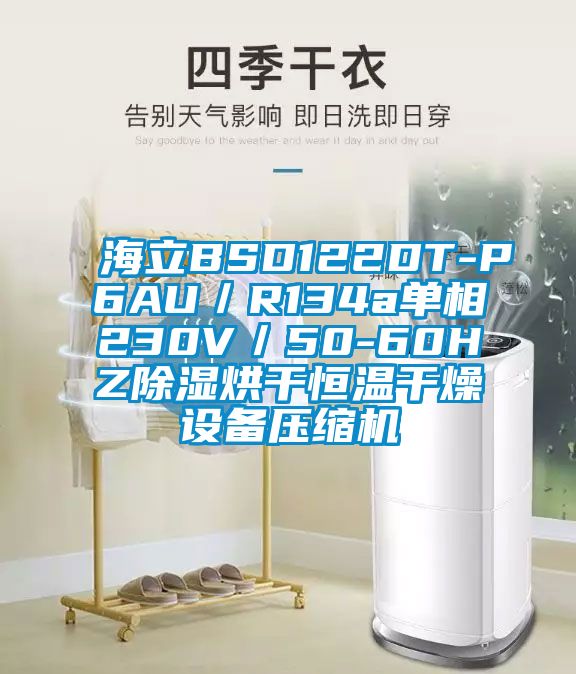 海立BSD122DT-P6AU／R134a单相230V／50-60HZ草莓视频黄色在线观看烘干恒温干燥设备压缩机
