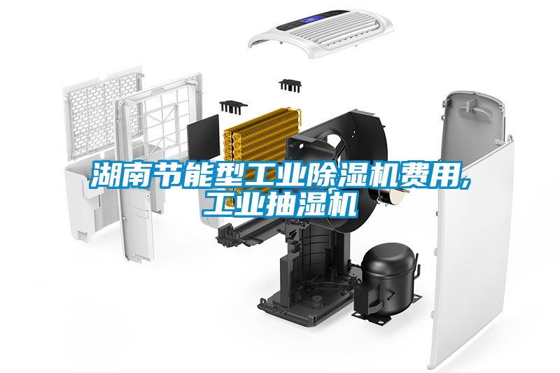 湖南节能型工业草莓视频黄色在线观看机费用,工业抽湿机