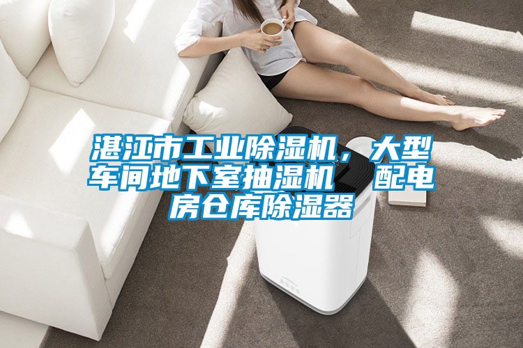 湛江市工业草莓视频黄色在线观看机，大型车间地下室抽湿机  配电房仓库草莓视频黄色在线观看器