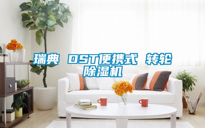 瑞典 DST便携式 转轮草莓视频黄色在线观看机