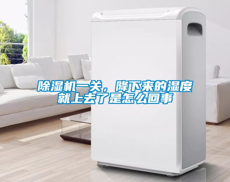 草莓视频黄色在线观看机一关，降下来的湿度就上去了是怎么回事