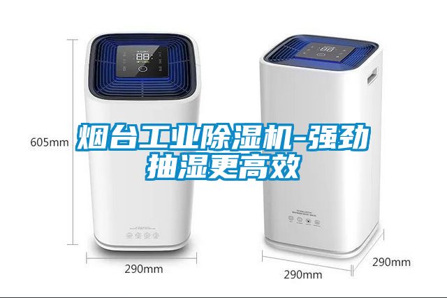 烟台工业草莓视频黄色在线观看机-强劲抽湿更高效