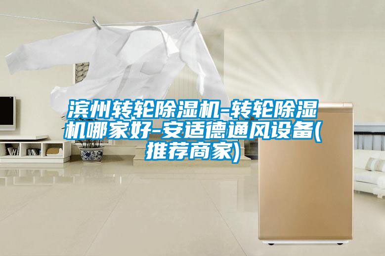 滨州转轮草莓视频黄色在线观看机-转轮草莓视频黄色在线观看机哪家好-安适德通风设备(推荐商家)