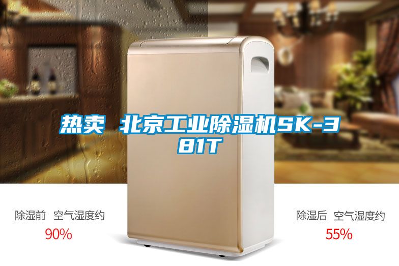 热卖 北京工业草莓视频黄色在线观看机SK-381T
