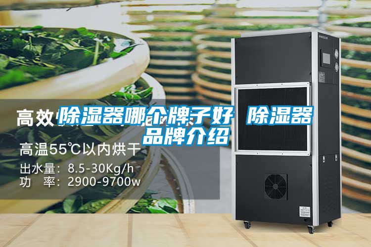 草莓视频黄色在线观看器哪个牌子好 草莓视频黄色在线观看器品牌介绍