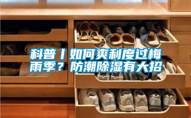 科普丨如何爽利度过梅雨季？防潮草莓视频黄色在线观看有大招