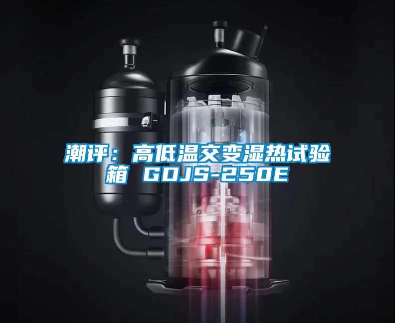 潮评：高低温交变湿热试验箱 GDJS-250E