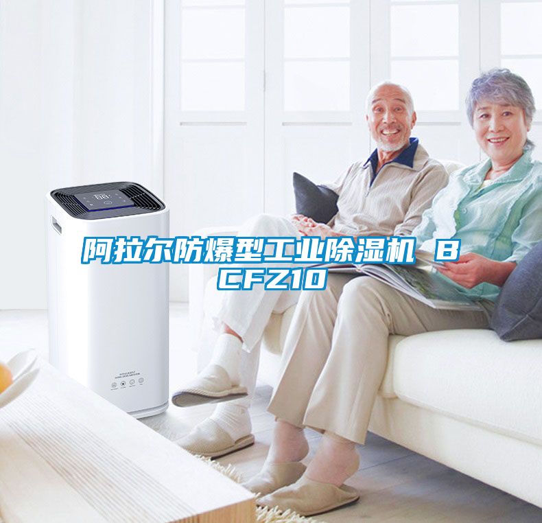 阿拉尔防爆型工业草莓视频黄色在线观看机 BCFZ10