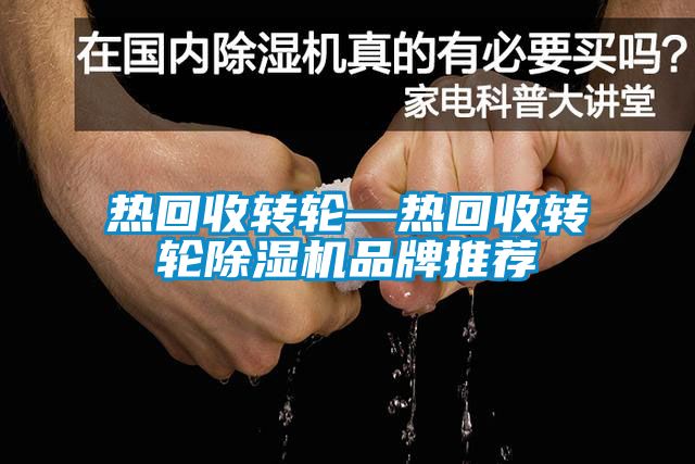 热回收转轮—热回收转轮草莓视频黄色在线观看机品牌推荐