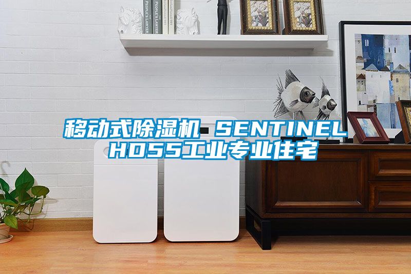 移动式草莓视频黄色在线观看机 SENTINEL HD55工业专业住宅