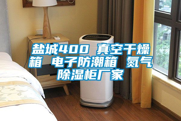 盐城400℃真空干燥箱 电子防潮箱 氮气草莓视频黄色在线观看柜厂家