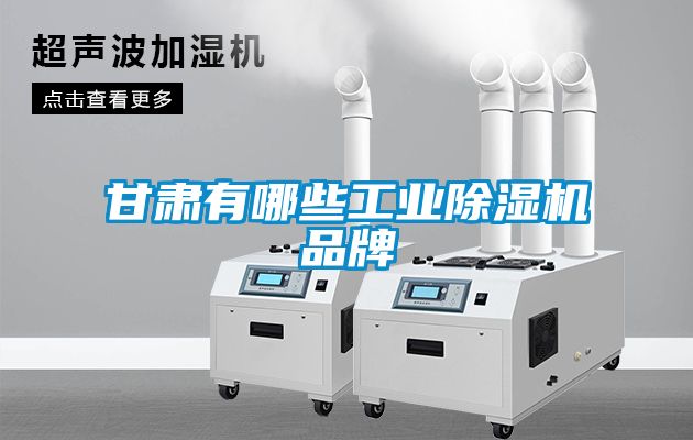 甘肃有哪些工业草莓视频黄色在线观看机品牌