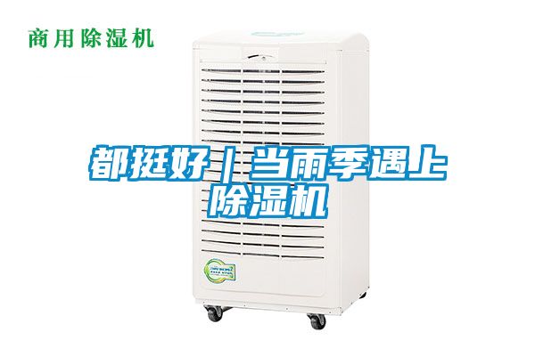 都挺好｜当雨季遇上草莓视频黄色在线观看机