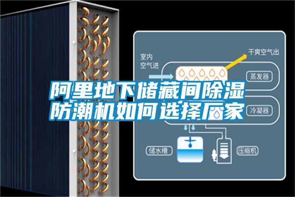 阿里地下储藏间草莓视频黄色在线观看防潮机如何选择厂家