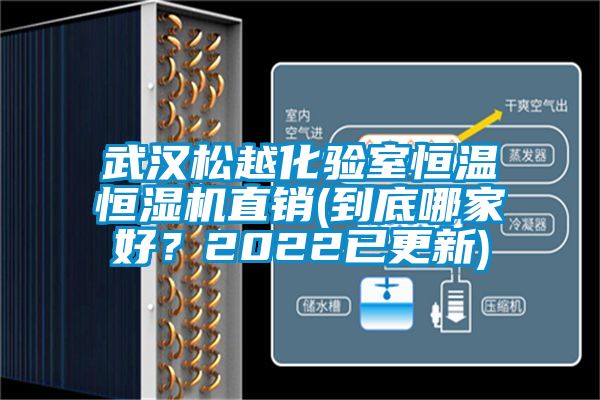 武汉松越化验室恒温恒湿机直销(到底哪家好？2022已更新)